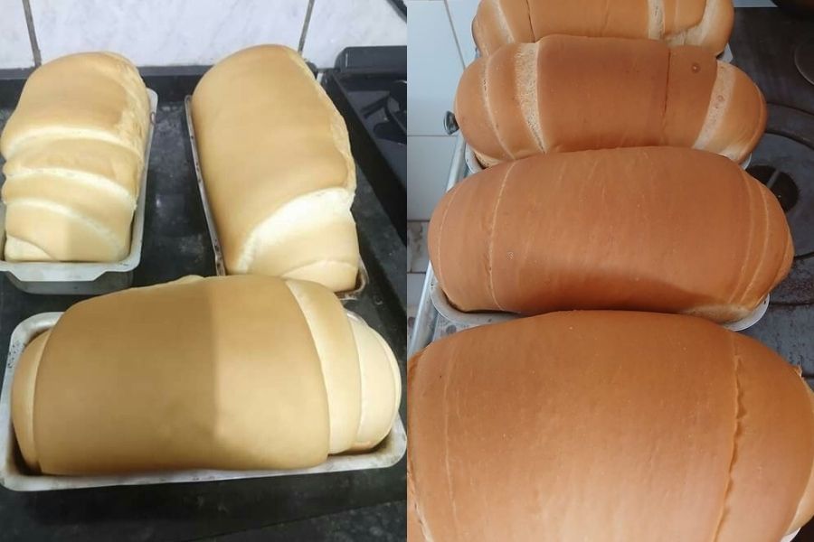 Pão Caseiro Fofinho para Iniciantes